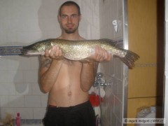 Kliknutím fotografii zvětšíte Štika 68cm