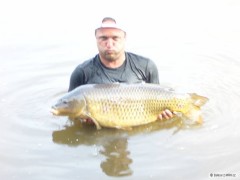 Kliknutím fotografii zvětšíte 2009 labe
