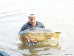 Kliknutím fotografii zvětšíte 2009 labe