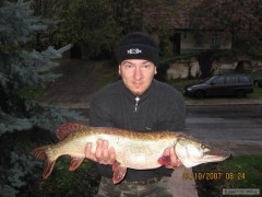 Kliknutím fotografii zvětšíte štička 83cm