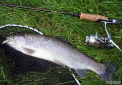 Duh�k 44cm na Relax Clonay