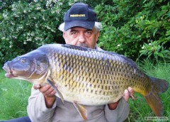 Kliknutím fotografii zvětšíte 83 cm/12kg