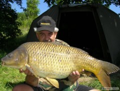 Kliknutím fotografii zvětšíte 81cm/11 kg
