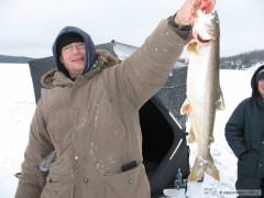 Kliknutím fotografii zvětšíte Lake trout (pstruh jezerni)