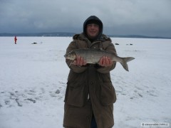 Kliknutím fotografii zvětšíte White fish