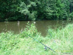 Kliknutím fotografii zvětšíte Nežarka