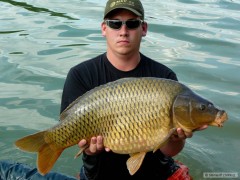 Kapr obecný 75 cm 9,5 kg