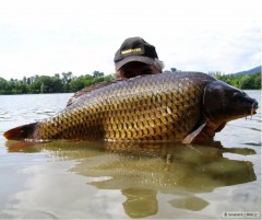 Kliknutím fotografii zvětšíte 90 cm - 17 kg