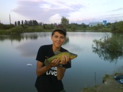 ja a lin
