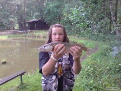 �tika