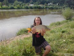k�mo�ovo kapr 58cm