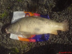 Kliknutím fotografii zvětšíte Šupik 81cm boiles vanilka v dipu atrktoru halibut