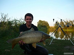 Kliknutím fotografii zvětšíte krásný kapr z Balatonu