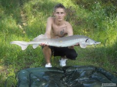 Kliknutím fotografii zvětšíte skalky 2009