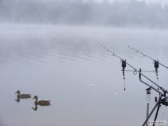 Kliknutím fotografii zvětšíte Nadhera