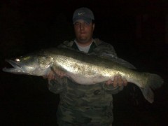 Kliknutím fotografii zvětšíte zubač 96cm 9 kg