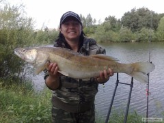 Cand�t 80 cm