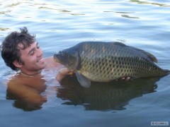 Kliknutím fotografii zvětšíte KAPR 10KG 82CM