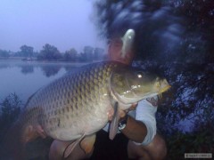 Kliknutím fotografii zvětšíte kapr85cm12,5kg
