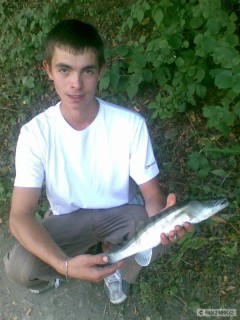 zase candatek