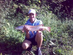 95 cm super boj