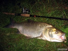 Bolen 67cm na Salmo Executor