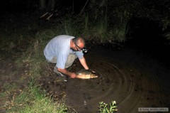 Kliknutím fotografii zvětšíte padesatnik jde do vody
