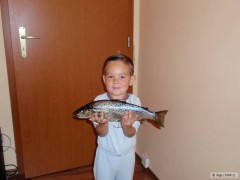 Kliknutím fotografii zvětšíte Potočák 40cm