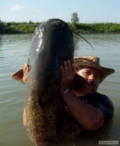 Kliknutím fotografii zvětšíte www.carpkapr.wbs.cz