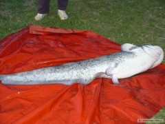 Kliknutím fotografii zvětšíte 168 cm 32kg