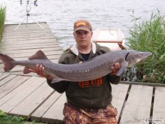 Kliknutím fotografii zvětšíte jeseter 150cm 18kg