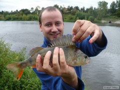 Kliknutím fotografii zvětšíte Okoun říční 33cm