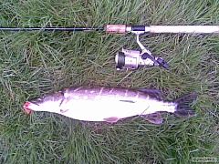 river barrow stuka 57 cm