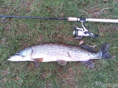 Kliknutím fotografii zvětšíte blessington stuka 76 cm