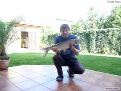 Kliknutím fotografii zvětšíte Bolen 73cm