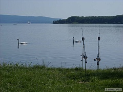 Kliknutím fotografii zvětšíte Lipno srpen 09