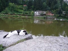 Kliknutím fotografii zvětšíte Žampach