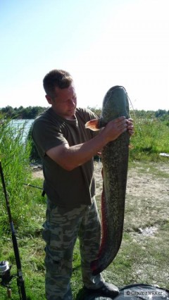 Kliknutím fotografii zvětšíte 145 cm