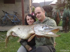 Kliknutím fotografii zvětšíte Štika 94cm,6,15kg