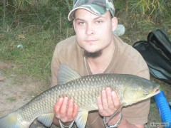 Amurek 61cm- Bajkal.....