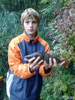 Okoun- 33 cm, na rippera
