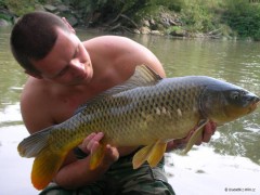 Kliknutím fotografii zvětšíte Kapor 78cm 6,5kg