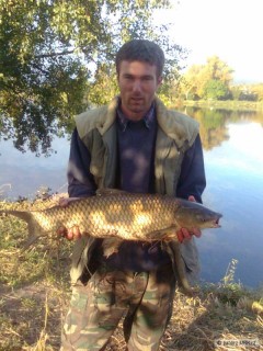 amur 75cm-5kg
