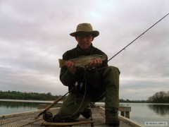 Kliknutím fotografii zvětšíte Brown trout - 49 cm