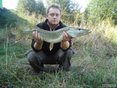stika 80cm