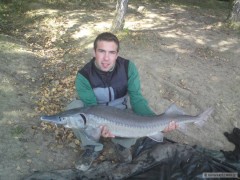 Kliknutím fotografii zvětšíte Jeseter 120 cm