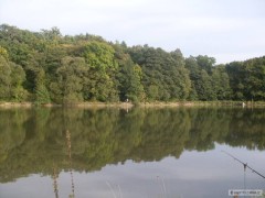 Kliknutím fotografii zvětšíte radim