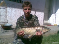 amur
