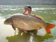 Spanelak