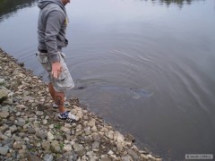 Kliknutím fotografii zvětšíte zpátky v řece